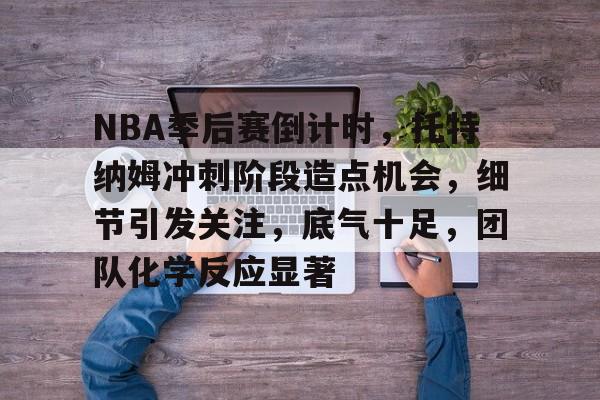 NBA季后赛倒计时，托特纳姆冲刺阶段造点机会，细节引发关注，底气十足，团队化学反应显著的简单介绍